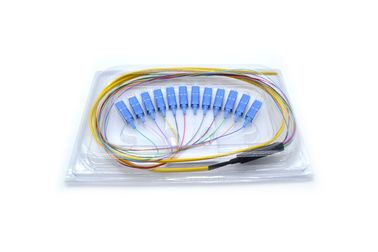 SC FC LC SM Patch Cord / Pigtail 12 Core Fiber Optic Jumper Cables Custom Length
